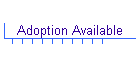 Adoption Available