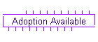 Adoption Available