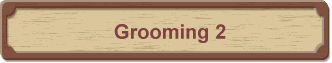 Grooming 2